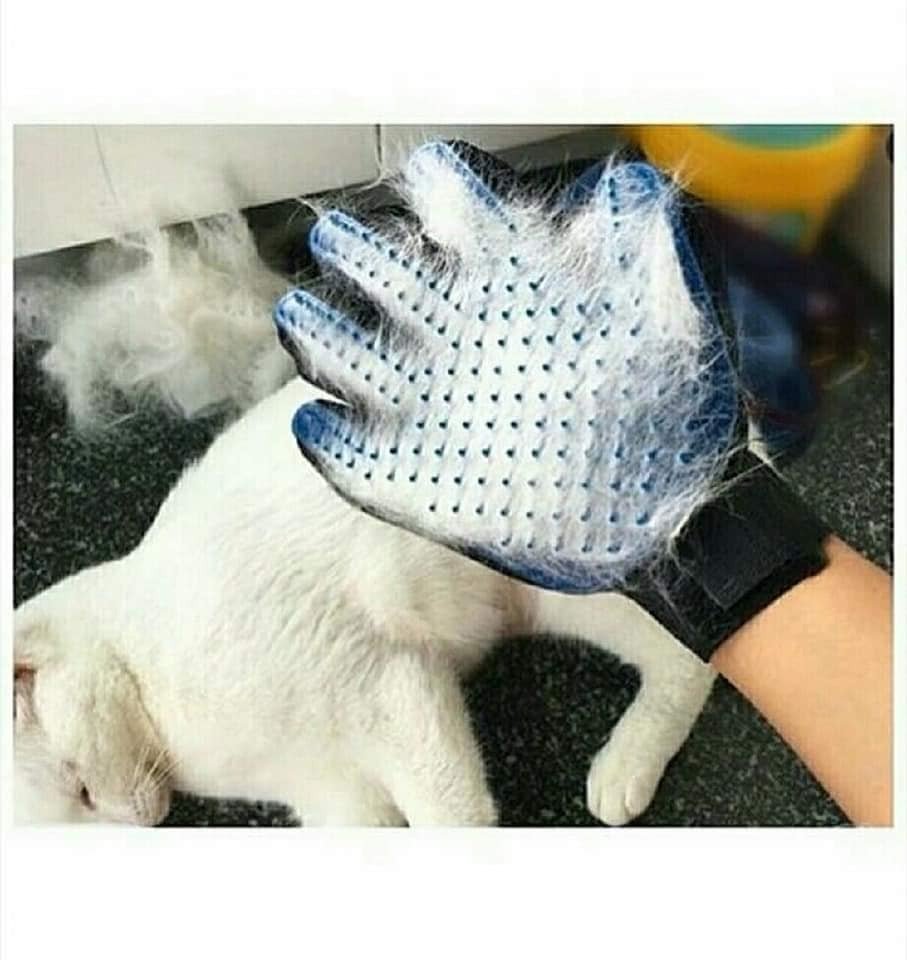 Magična rukavica za kućne ljubimce