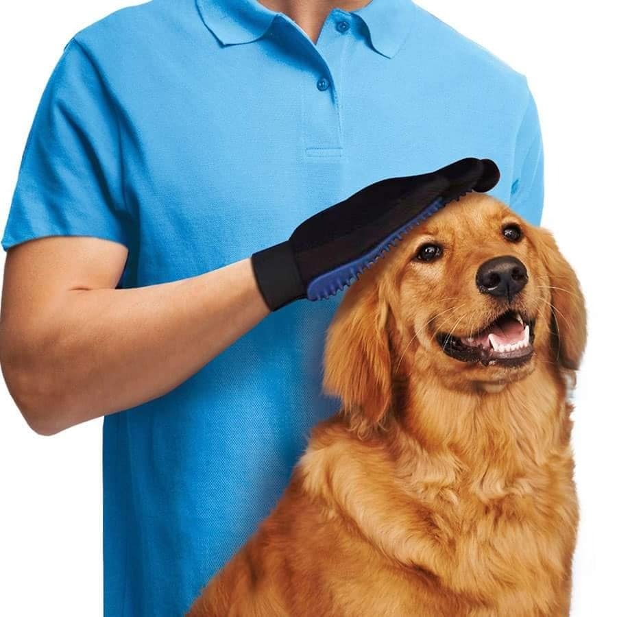 Magična rukavica za kućne ljubimce