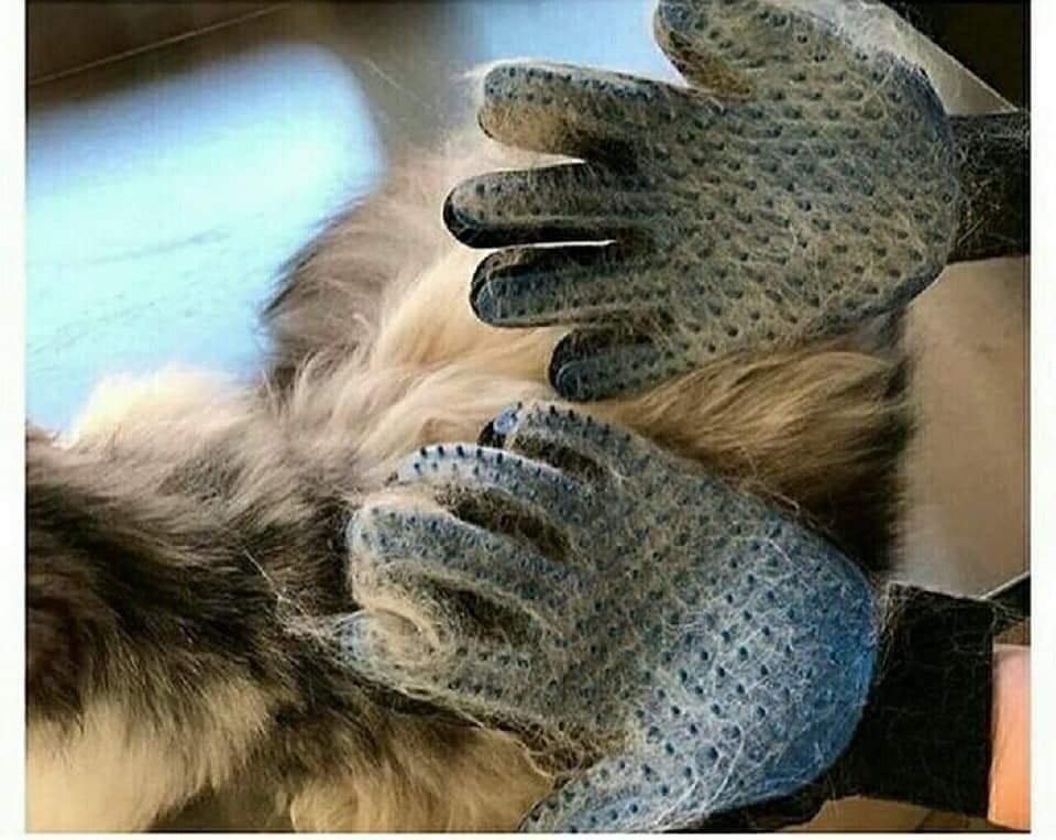 Magična rukavica za kućne ljubimce
