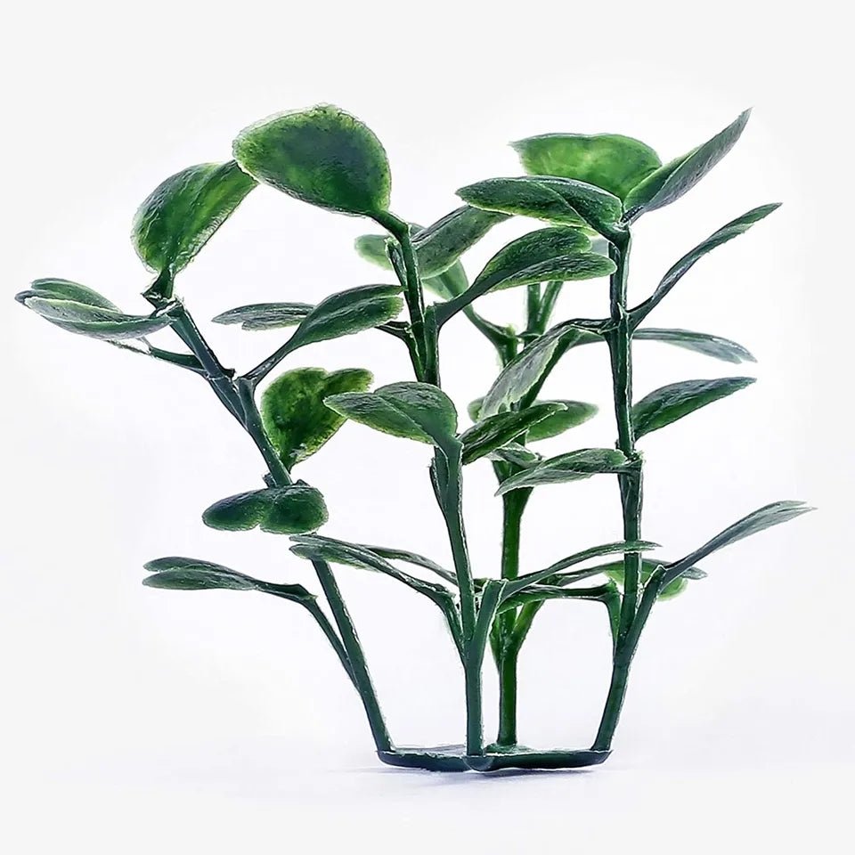 Dekorativni zeleni paneli